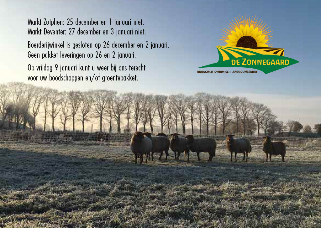 1765486951139-a7a98c01-9ac6-4d83-85ed-15ab0c42f175_2